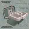 image:imageBentgo Kids Prints LeakProof 5Compartment BentoStyle Kids Lunch Box  Ideal Portion Sizes for Ages 37 Durable DropProof Dishwasher Safe PFAS amp BPAFree Materials FairiesDino Fossils