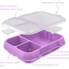 image:imageBentgo Pop Replacement Tray with Cover 4 Compartments BPAFree  5Cup Capacity Adjustable Divider Microwave amp Dishwasher Safe Kids 8 amp Teens Spring GreenBluePeriwinklePink