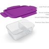 image:imageBentgo Glass Snack  LeakProof BentoStyle Snack Container with Airtight Lid and Divided 2Compartment Design  175 Cup Capacity for Meal Prepping and PortionControlled Snacking PurplePurple