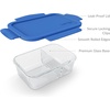 image:imageBentgo Glass Snack  LeakProof BentoStyle Snack Container with Airtight Lid and Divided 2Compartment Design  175 Cup Capacity for Meal Prepping and PortionControlled Snacking PurpleBlue