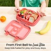 image:imageBentgo Kids BentoStyle 5Compartment LeakProof Lunch Box  Ideal Portion Sizes for Ages 37 Durable DropProof Dishwasher Safe PFAS amp BPAFree Materials BlueCoral