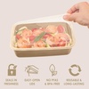 image:imageBentgo Prep 1Compartment Meal Prep Containers with Lids 20 Piece Set  4 Cup Capacity Portion Control Stackable PFAS amp BPAFree Microwave Freezer amp DishwasherSafe Peony GlitterGold