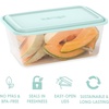 image:imageBentgo Prep 20Piece 8Cup DeepDish Storage Containers for Meal Prep  PFAS amp BPAFree Microwave Freezer amp Dishwasher Safe Aqua Splash