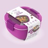 image:imageBentgo Salad Container Lunch Bowl with 4Compartment Toppings Tray 54 oz  LeakProof Dressing Container Reusable Fork BPAFree Microwave amp Dishwasher Safe GrayPurple