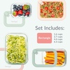image:imageBentgo Signature Glass Food Storage Containers with Lids 8 Piece Set  LeakProof Airtight Borosilicate Glass PFAS amp BPAFree Microwave Oven Freezer amp DishwasherSafe Desert SageDesert Sage