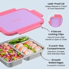 image:imageBentgo Stainless Steel Lunch Box LeakProof 3 Compartments 43 Cups  188 Stainless Steel Tray EasyOpen Clips PFAS amp BPAFree TopRack Dishwasher Safe Ages 3 Gray LeafLilac